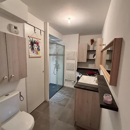Apartment 2 Pieces Lumineux, Terrasse Exposee Sud, Proche